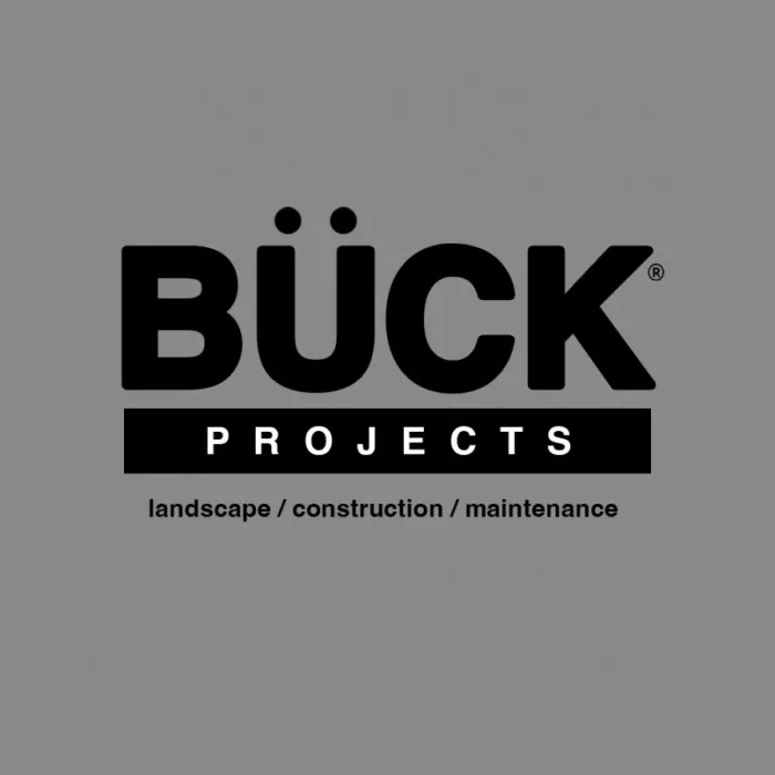 Buck Projects